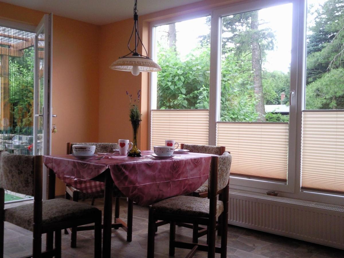 Ferienhaus Harzer Bauernhof Thale Esterno foto